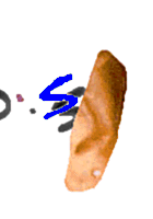 Ear